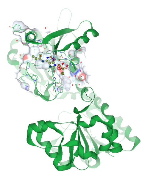 微信图片_20211101091931-1